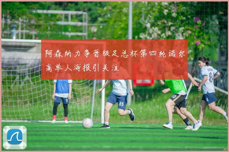 阿森纳力争晋级足总杯第四轮诺尔高单人海报引关注