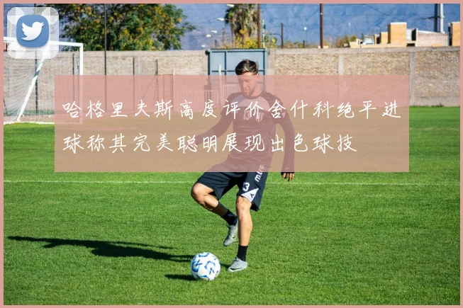 哈格里夫斯高度评价舍什科绝平进球称其完美聪明展现出色球技