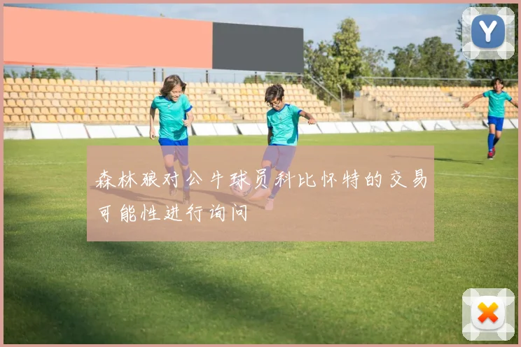 森林狼对公牛球员科比怀特的交易可能性进行询问