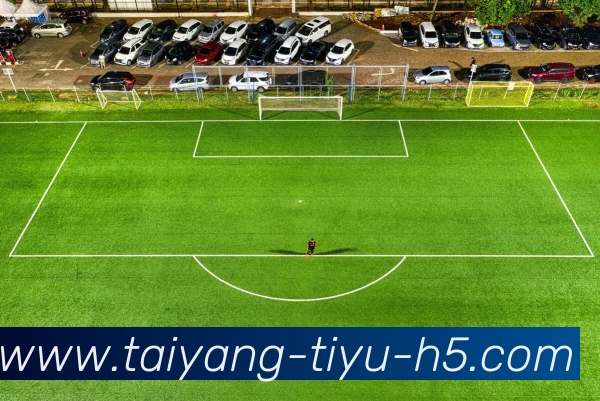 太阳城平台生态图